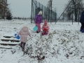 DSCN7665