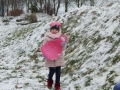 DSCN7682