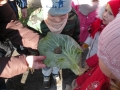 Spacer 10 2014 092